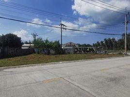  Land for sale in Surat Thani, Ko Pha-Ngan, Ko Pha-Ngan, Surat Thani