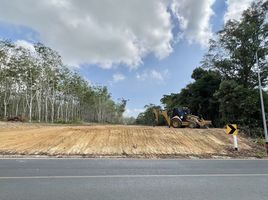  Grundstück zu verkaufen in Thalang, Phuket, Pa Khlok