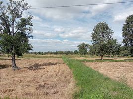  Land for sale in Nong Bua Khok, Lam Plai Mat, Nong Bua Khok