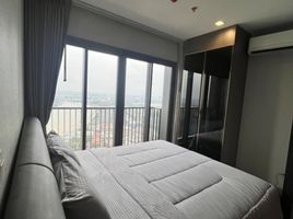 1 Bedroom Condo for rent at The Politan Aqua, Bang Kraso