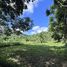  Land for sale in Phuket, Pa Khlok, Thalang, Phuket