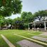 3 Schlafzimmer Reihenhaus zu verkaufen im Plus Citypark Ngamwongwan 25 , Bang Khen, Mueang Nonthaburi, Nonthaburi