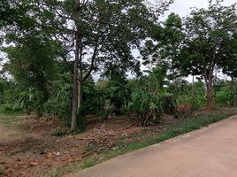  Grundstück zu verkaufen in Nong Ya Plong, Phetchaburi, Tha Takhro, Nong Ya Plong