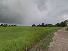  Grundstück zu verkaufen in Tha Tako, Nakhon Sawan, Phanom Rok