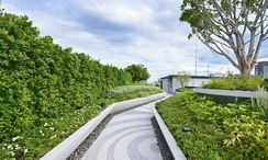 Фото 3 of the Communal Garden Area at IVORY Ratchada-Ladprao