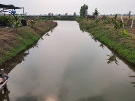  Grundstück zu verkaufen in Bang Len, Nakhon Pathom, Nin Phet, Bang Len