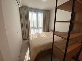 1 Bedroom Apartment for rent at Nue Noble Centre Bang Na, Bang Na, Bang Na