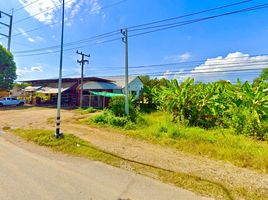  Land for sale in Sathan, Pua, Sathan