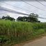  Land for sale in Mueang Phitsanulok, Phitsanulok, Wat Chan, Mueang Phitsanulok