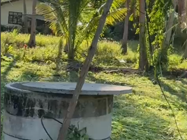  Grundstück zu verkaufen in Koh Samui, Surat Thani, Taling Ngam