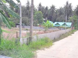  Land for sale in Wang Phong, Pran Buri, Wang Phong