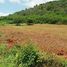  Land for sale in Pak Nam Pran, Pran Buri, Pak Nam Pran