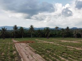  Grundstück zu verkaufen in Si Racha, Chon Buri, Surasak, Si Racha