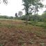  Land for sale in Nikhom Phatthana, Mueang Lampang, Nikhom Phatthana