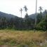  Land for sale in Malaysia, Pulau Betong, Barat Daya Southwest Penang, Penang, Malaysia