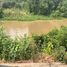  Land for sale in Phitsanulok, Makham Sung, Mueang Phitsanulok, Phitsanulok