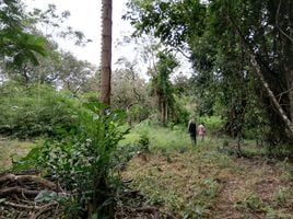  Grundstück zu verkaufen in Mueang Ranong, Ranong, Ko Phayam