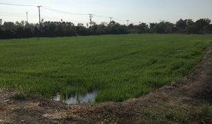 N/A Land for sale in Ton Tan, Suphan Buri 