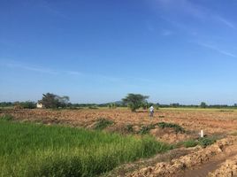  Land for sale in Chai Nat, Hang Nam Sakhon, Manorom, Chai Nat