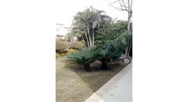 Viviendas disponibles en Bamboo Palm Hills