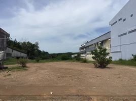  Grundstück zu verkaufen in Khok Kloi, Takua Thung, Khok Kloi