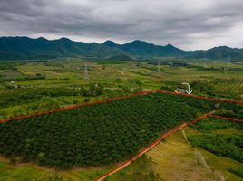  Grundstück zu verkaufen in Mueang Prachuap Khiri Khan, Prachuap Khiri Khan, Bo Nok, Mueang Prachuap Khiri Khan