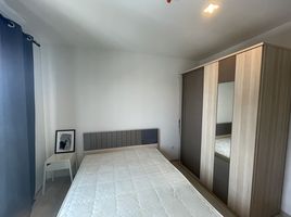 1 Schlafzimmer Appartement zu vermieten im Life Sukhumvit 48, Phra Khanong