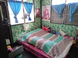 3 Schlafzimmer Haus zu verkaufen in Thanyaburi, Pathum Thani, Pracha Thipat, Thanyaburi