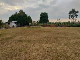  Land for sale in Saraburi, Na Yao, Phra Phutthabat, Saraburi