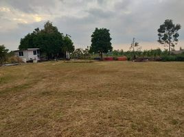  Land for sale in Phra Phutthabat, Saraburi, Na Yao, Phra Phutthabat