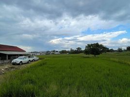  Land for sale in San Sai, Chiang Mai, San Sai Luang, San Sai