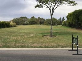  Land for sale in Tigre, Buenos Aires, Tigre