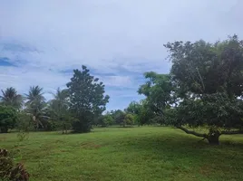  Grundstück zu verkaufen in Sam Roi Yot, Hua Hin, Sam Roi Yot, Sam Roi Yot