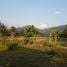  Land for sale in Nan, Thung Chang, Thung Chang, Nan