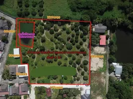  Land for sale in San Klang, San Kamphaeng, San Klang