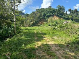  Land for sale in Phuket, Si Sunthon, Thalang, Phuket