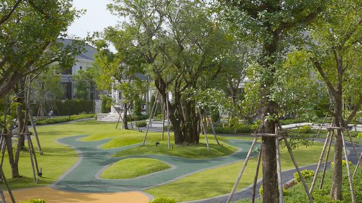 图片 1 of the Communal Garden Area at Lake Legend Chaengwattana