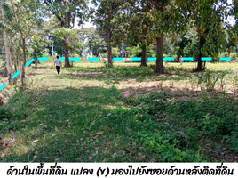  Grundstück zu verkaufen in Mueang Buri Ram, Buri Ram, Song Hong, Mueang Buri Ram, Buri Ram