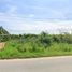  Land for sale in Rayong, Makham Khu, Nikhom Phatthana, Rayong