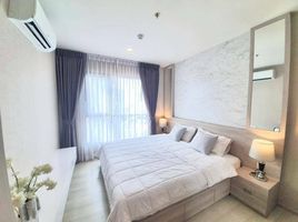 1 Schlafzimmer Appartement zu vermieten im Life Sukhumvit 48, Phra Khanong