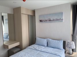 2 Bedroom Condo for sale at Ideo O2, Bang Na, Bang Na