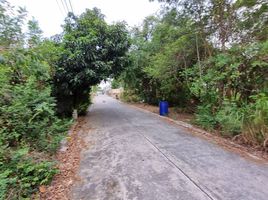  Land for sale in Samet, Mueang Chon Buri, Samet