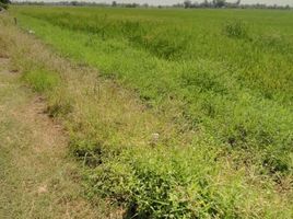  Land for sale in Singhanat, Lat Bua Luang, Singhanat