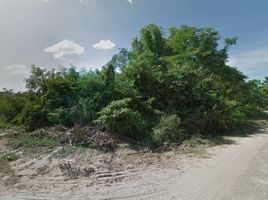  Land for sale in Ban Phaeng, Nakhon Phanom, Ban Phaeng, Ban Phaeng