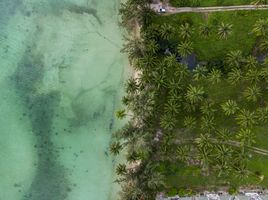  Grundstück zu verkaufen in Koh Samui, Surat Thani, Ang Thong, Koh Samui