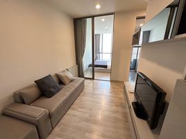 1 Schlafzimmer Wohnung zu vermieten im Niche Pride Taopoon-Interchange, Bang Sue