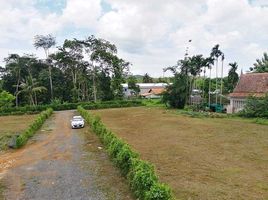  Land for sale in Thalang, Phuket, Pa Khlok, Thalang