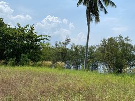  Land for sale in Thailand, Lo Yung, Takua Thung, Phangnga, Thailand