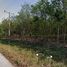 ขายที่ดิน ใน ตาสิทธิ์, ระยอง, ตาสิทธิ์