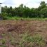  Land for sale in Nong Bon, Prawet, Nong Bon